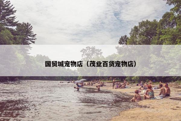 国贸城宠物店（茂业百货宠物店）