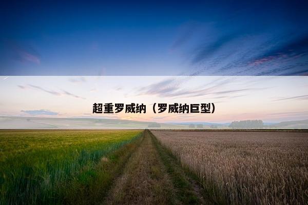 超重罗威纳（罗威纳巨型）