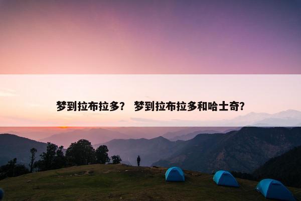 梦到拉布拉多？ 梦到拉布拉多和哈士奇？