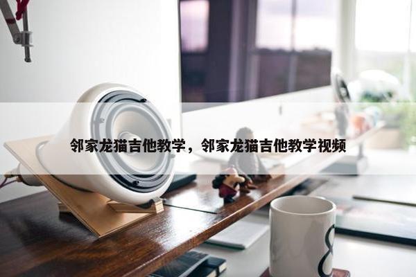 邻家龙猫吉他教学，邻家龙猫吉他教学视频