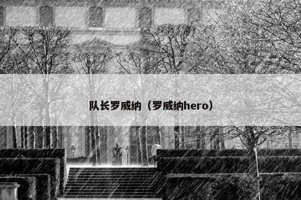 队长罗威纳（罗威纳hero）