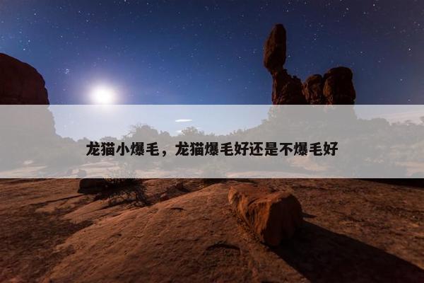龙猫小爆毛，龙猫爆毛好还是不爆毛好