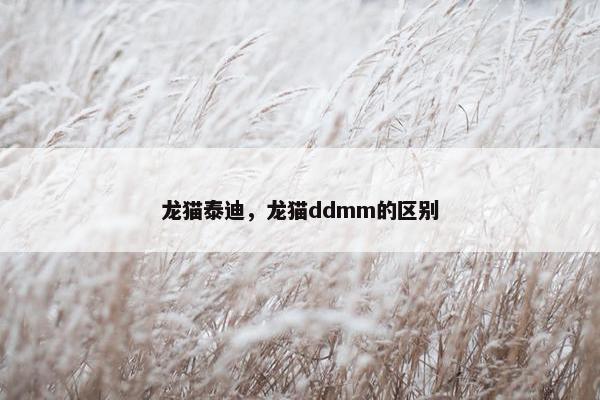 宠物 第75页