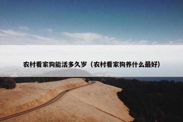 农村看家狗能活多久岁（农村看家狗养什么最好）
