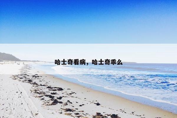 哈士奇看病，哈士奇乖么