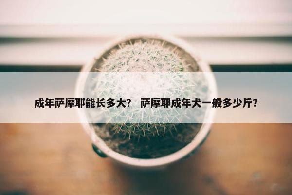 成年萨摩耶能长多大？ 萨摩耶成年犬一般多少斤？
