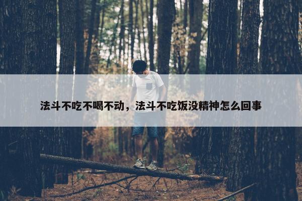 法斗不吃不喝不动，法斗不吃饭没精神怎么回事