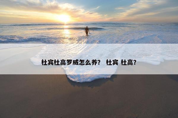 杜宾杜高罗威怎么养？ 杜宾 杜高？