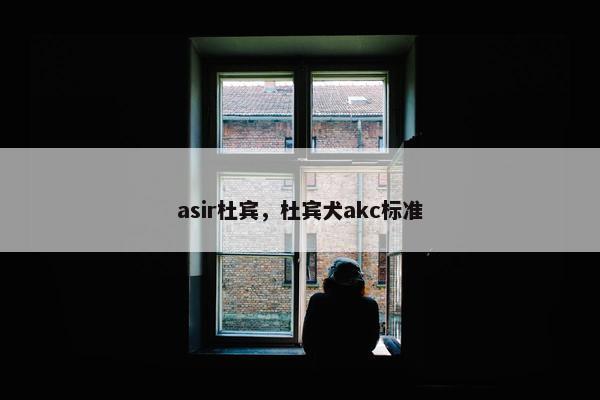 asir杜宾,杜宾犬akc标准