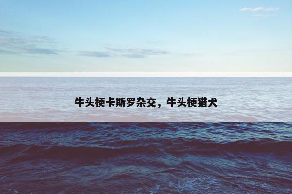 牛头梗卡斯罗杂交,牛头梗猎犬