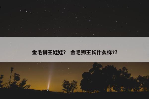 球星