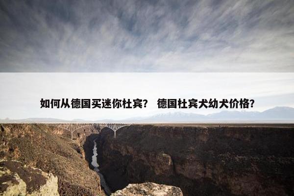 如何从德国买迷你杜宾？ 德国杜宾犬幼犬价格？