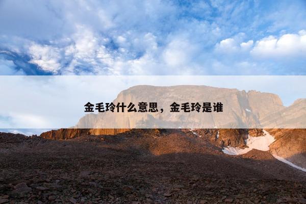 金毛玲什么意思，金毛玲是谁
