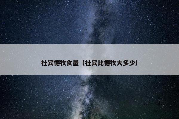 杜宾德牧食量（杜宾比德牧大多少）