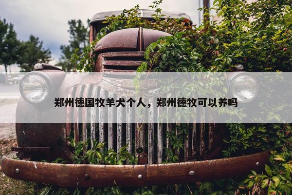 郑州德国牧羊犬个人，郑州德牧可以养吗