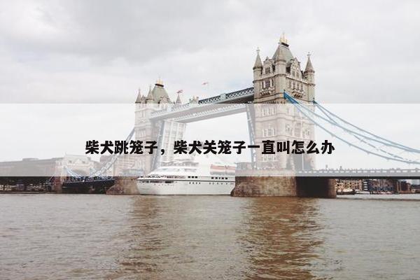 柴犬跳笼子，柴犬关笼子一直叫怎么办