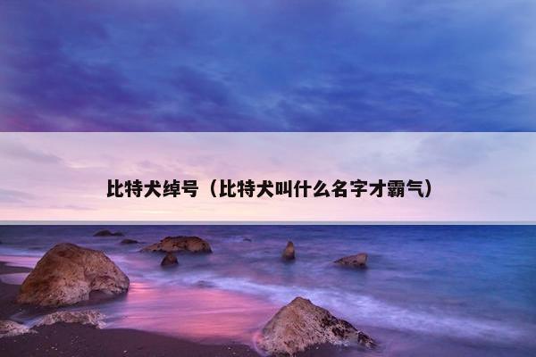 比特犬绰号（比特犬叫什么名字才霸气）