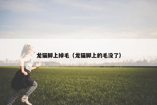 龙猫脚上掉毛（龙猫脚上的毛没了）