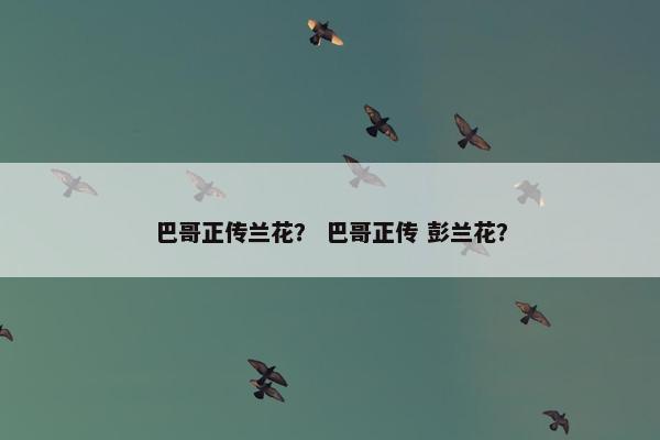 巴哥正传兰花？ 巴哥正传 彭兰花？