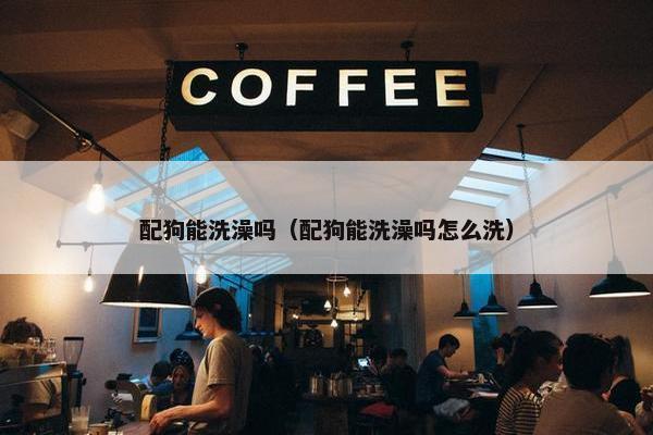配狗能洗澡吗（配狗能洗澡吗怎么洗）