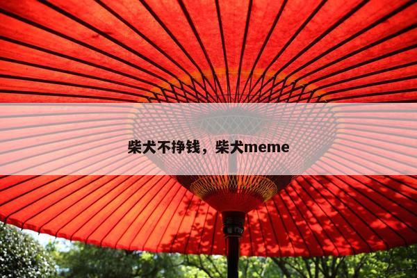 柴犬不挣钱,柴犬meme