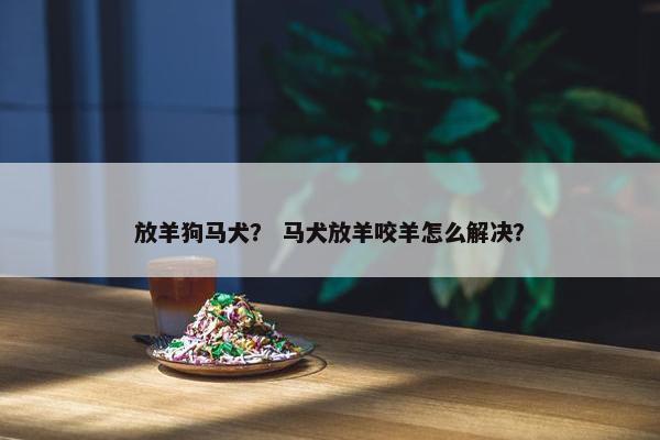 放羊狗马犬？ 马犬放羊咬羊怎么解决？