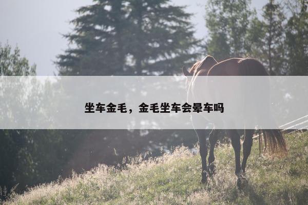 坐车金毛，金毛坐车会晕车吗