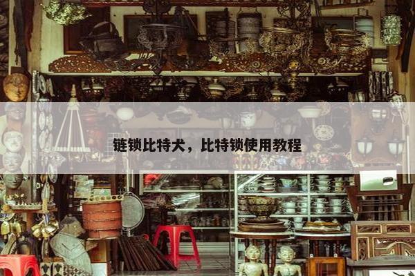 链锁比特犬，比特锁使用教程