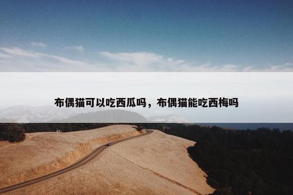 布偶猫可以吃西瓜吗，布偶猫能吃西梅吗