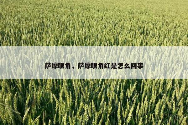 萨摩眼角，萨摩眼角红是怎么回事