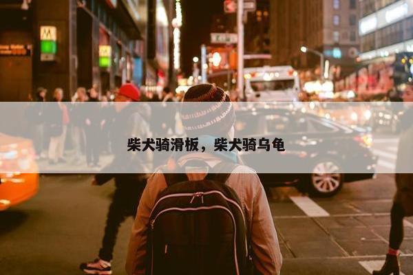 柴犬骑滑板，柴犬骑乌龟