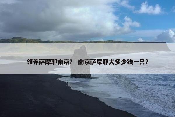 领养萨摩耶南京？ 南京萨摩耶犬多少钱一只？