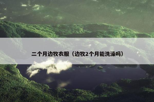 二个月边牧衣服（边牧2个月能洗澡吗）