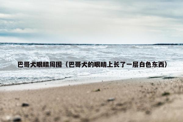 巴哥犬眼睛周围（巴哥犬的眼睛上长了一层白色东西）