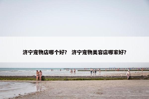 济宁宠物店哪个好？ 济宁宠物美容店哪家好？