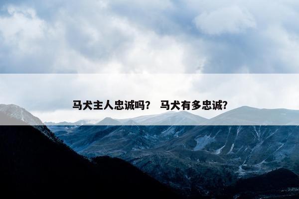 马犬主人忠诚吗? 马犬有多忠诚?