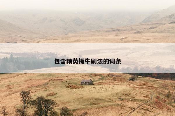 包含精英桶牛刷法的词条