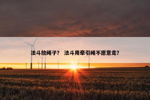 法斗放绳子? 法斗用牵引绳不愿意走?