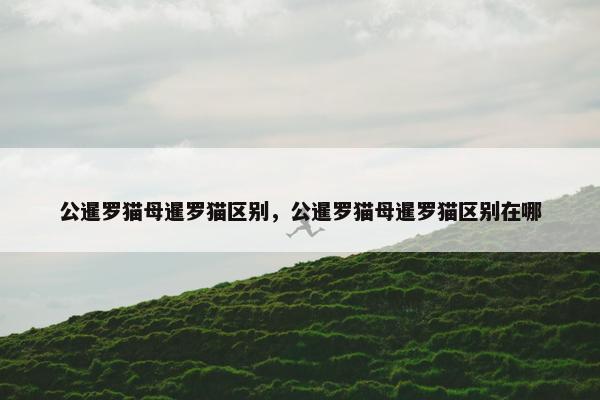 公暹罗猫母暹罗猫区别，公暹罗猫母暹罗猫区别在哪