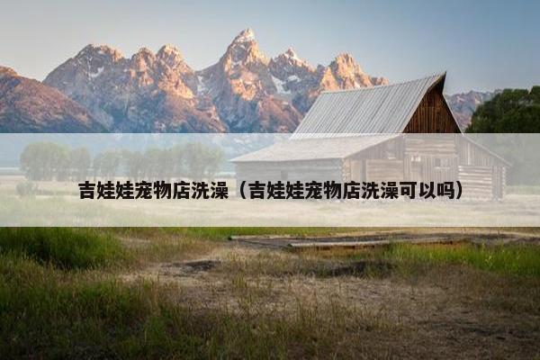 吉娃娃宠物店洗澡（吉娃娃宠物店洗澡可以吗）