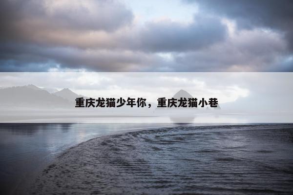 重庆龙猫少年你，重庆龙猫小巷