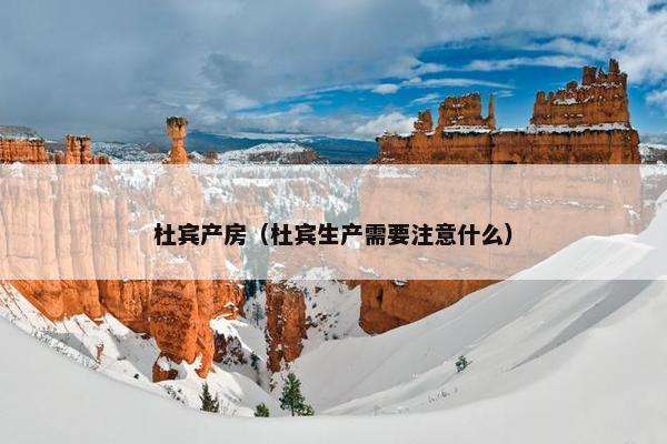 杜宾产房（杜宾生产需要注意什么）