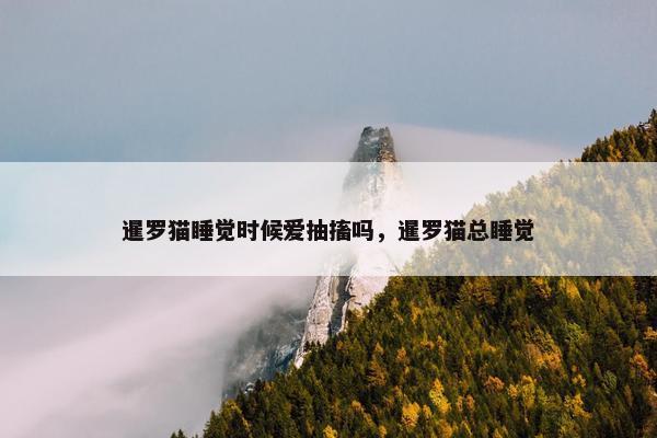 暹罗猫睡觉时候爱抽搐吗，暹罗猫总睡觉