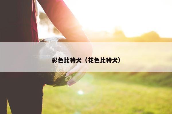 威士