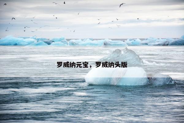 罗威纳元宝，罗威纳头版