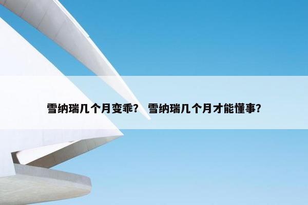 雪纳瑞几个月变乖？ 雪纳瑞几个月才能懂事？