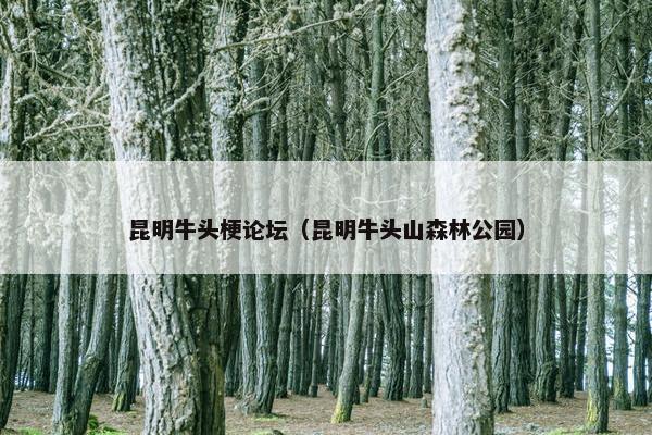 昆明牛头梗论坛（昆明牛头山森林公园）