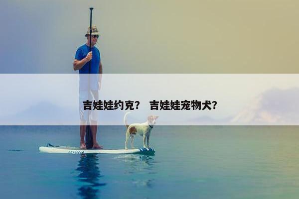 吉娃娃约克？ 吉娃娃宠物犬？