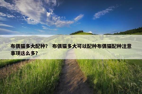 布偶猫多大配种? 布偶猫多大可以配种布偶猫配种注意事项这么多?