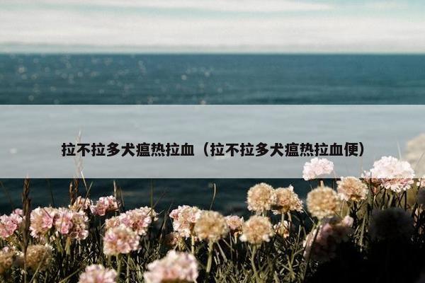 拉不拉多犬瘟热拉血（拉不拉多犬瘟热拉血便）